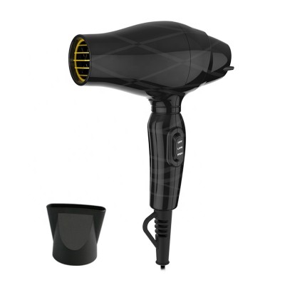 Purple Professional Mini Travel Hair Dryer