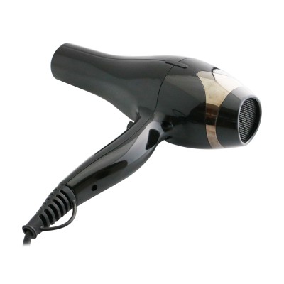 wholesale  ionic salon  hair dryer with high output AC/DC motor electric blow dryer with removable air filter