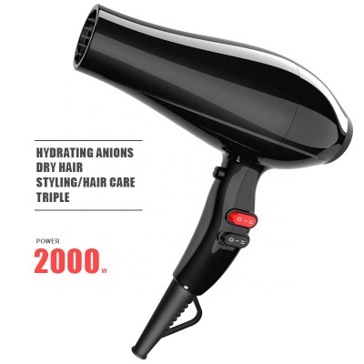 Professional salon negative ion hair dryer